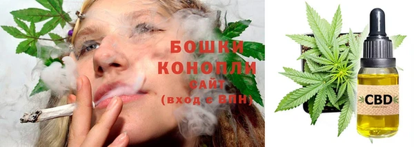 бутират Гусев