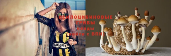 прущий лед Гусиноозёрск