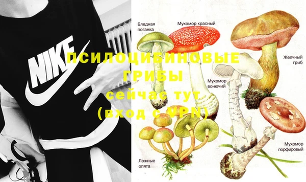 прущий лед Гусиноозёрск